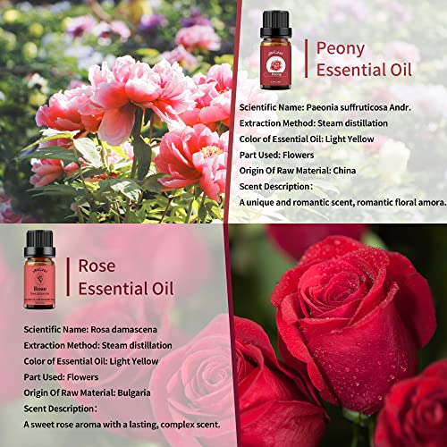Rose & Peony Essential Oil Set - Organic 2X10ml for Diffuser & Skincare