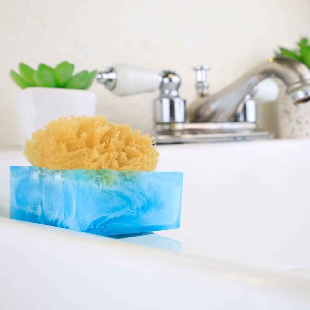 Primal Elements Facets of the Sea SpongeBar Soap (Pack of 2)