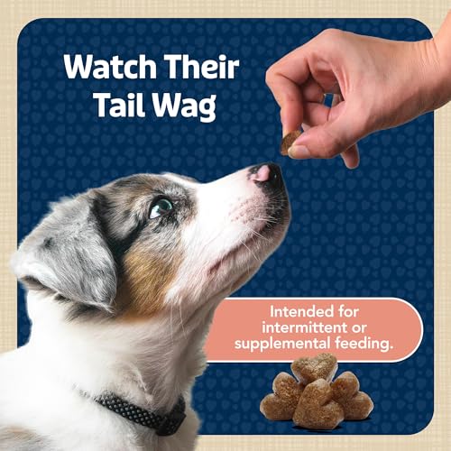 Blue Buffalo Bits Soft Dog Treats for Training, Made with Natural Ingredients & Enhanced with DHA, Savory Salmon Recipe, 4-oz. Bag (Pack of 4)