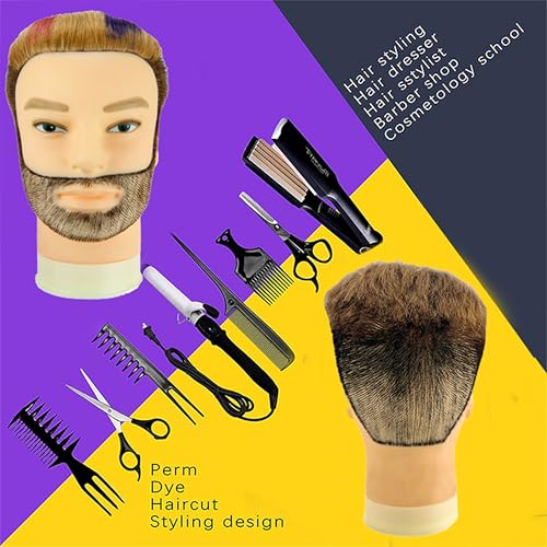 Male Mannequin Head 100% Real Human Hair 12" with Beard