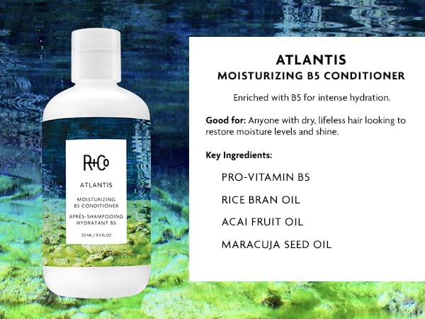 R+Co Atlantis Moisturizing B5 Shampoo & Conditioner Set - Dry Damaged Hair, 8.5oz (2 Pack)