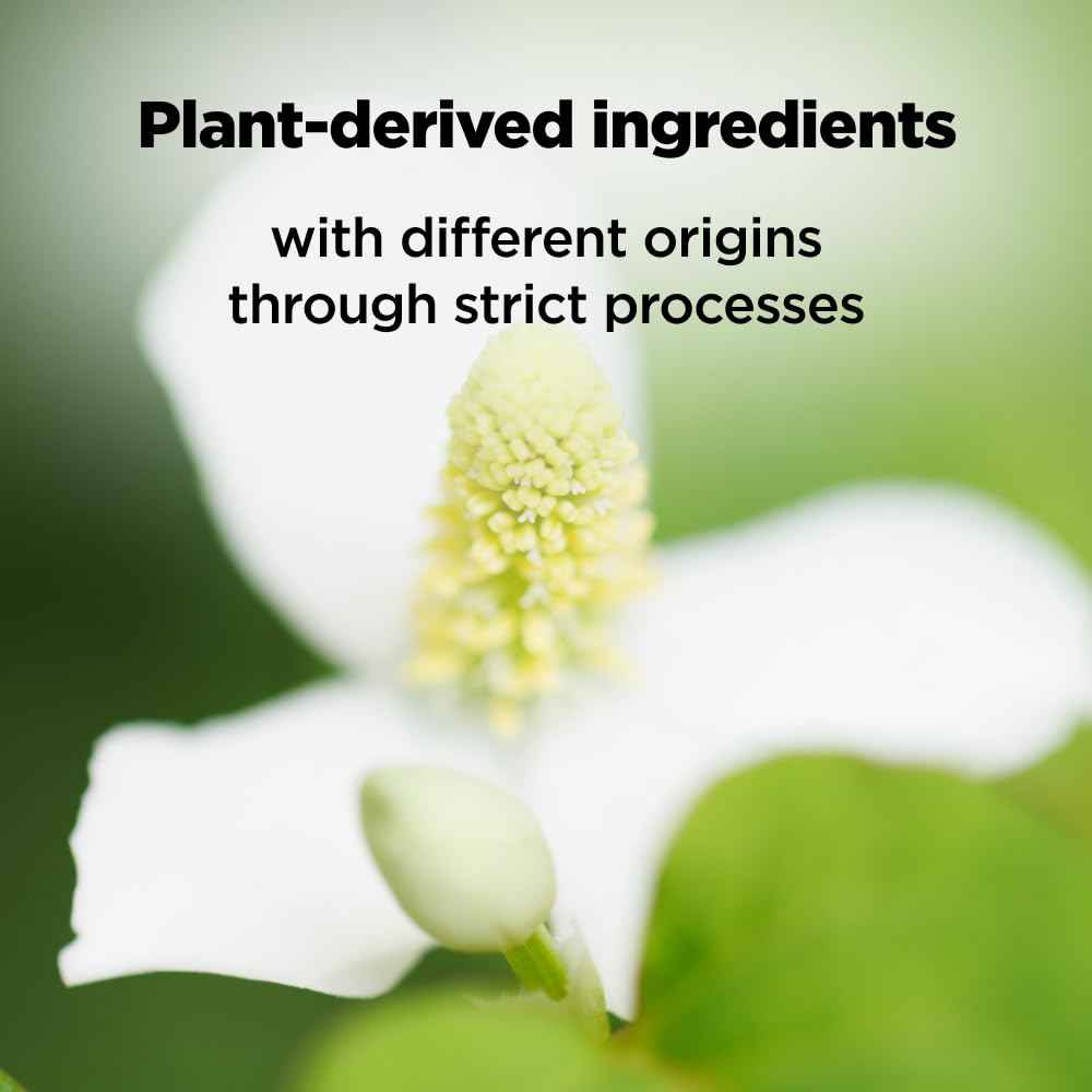 ISOI Moisture Dr. Mask Pack, Hydrating & Soothing Korean Sheet Mask for Face with Tea Tree, Ceramide & Hyaluronic Acid, Nourishing Skin Barrier Care, Korean Skin Care (10EA)