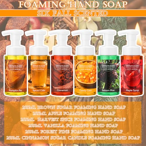 Autumn Foaming Hand Soap 6-Pack with Pump, 8.75 fl oz