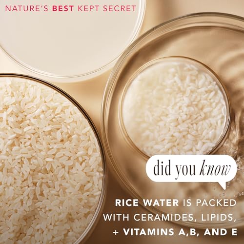 The Face Shop Rice Water Bright Vegan Cream - Instant Moisturization Quick-Absorbing Formula - Vegan, Brightening - Rice Water, Niacinamide, Hyaluronic Acid - Moisturizer Face Cream - Korean Skin Care