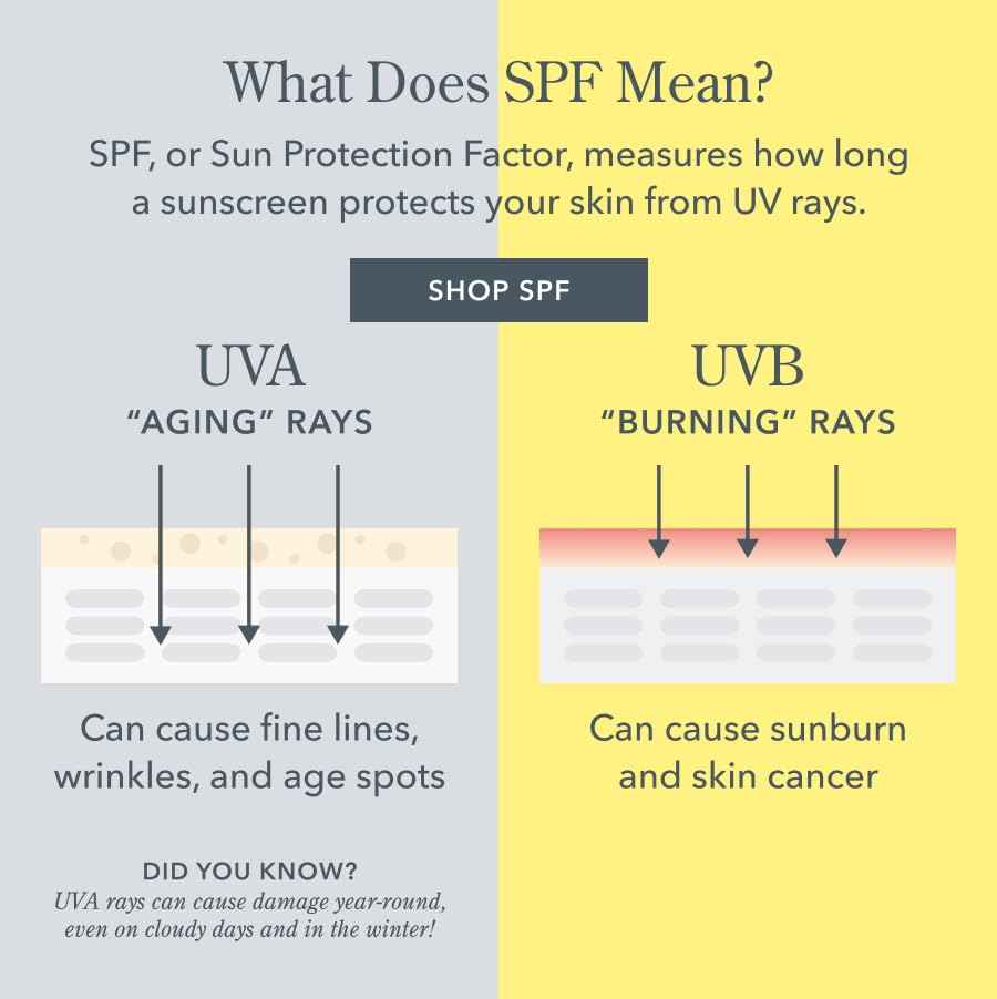 Beekman 1802 Hello Sunshine SPF 50 PA ++++ - Sunscreen for Face & Body - 5.0 fl. oz - Reduces Fine Lines & Protects Against Sun Damage - Good for Sensitive Skin - Cruelty Free - Reef Safe