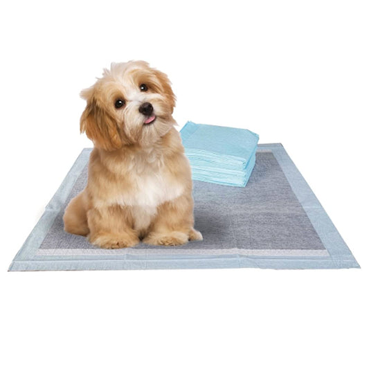 BV Puppy Pads Leak-Proof 100 Count 22"x 22" | Pee Pads for Dogs 6-Layer- Charcoal Dog Pee Pads- Dog Pads 100 Pack- Potty Pads for Dogs- Puppy Pee Pads, Pee Pad Training Pads for Dogs, Pet Pee Pads