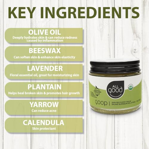 All Good Goop Organic Skin Care Recovery Balm - All Purpose Ointment w/Calendula, Lavender, Beeswax - Chafing Cream, Dry Skin Salve, Cracking Lip Moisturizer - Soothes, Hydrates & Calms - 2oz