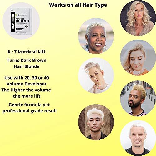 Blonde Toner Hair Lightener Powder for Dark Hair (3 Pack)