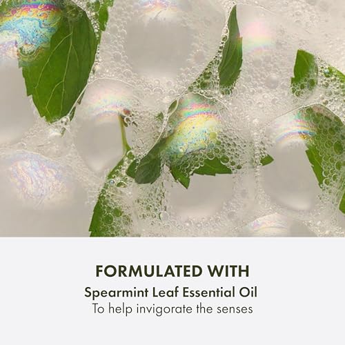 Origins Checks and Balances Frothy Face Wash | Gentle Face Cleanser for All Skin Types | With Mint