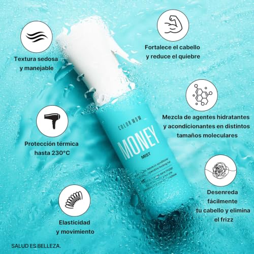 COLOR WOW Money Mist Leave-In Treatment for Glossy, Healthy Hair
