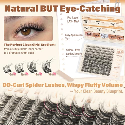 DD Curl Spider Lash Clusters 10-16MM Wispy Eyelash Extensions