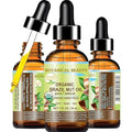 Botanical Beauty Organic BRAZIL NUT OIL Bertholletia Excelsa WILD GROWTH RAW Brazilian 100% Pure Natural Virgin Unrefined for FACE, SKIN, BODY, HAIR, NAILS, FOOT CARE (1 Fl Oz 30 ml)