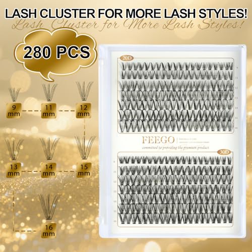 FEEGO Eyelash Extensions Kit Lash Clusters DIY Lash 280pcs 9-16mm Individual Lashes Clusters 20D 30D D Curl Eyelash Extension Kit Individual Lashes, Lash Bond, Seal Glue, Remover (2030D Charming Kit)