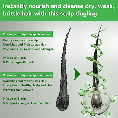 FSLHCY Rosemary Mint Shampoo & Conditioner Set with Biotin