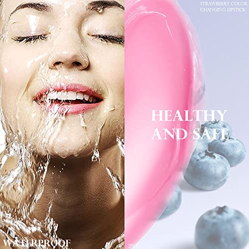 Blueberry Color Changing Lip Balm Tint - 2Pc Moisturizing Set