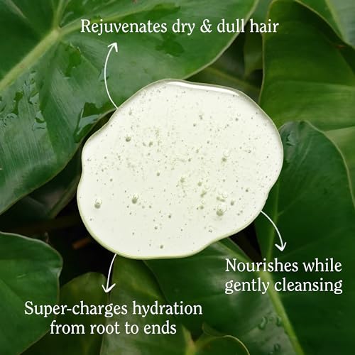 California Naturals Summer Fig Moisture Shampoo 20oz - Vegan & Sulfate Free