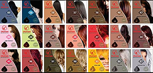 Gentle Japanese Hair Dye Hair Color to Reduce Hair Loss (Light Brown)