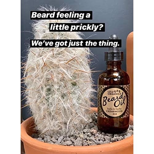 Argan Oil for Beard ? Natural Moisturizer for Men, Supports Facial Hair Growth, Beard Oil for Men with Cade Berry Cedar Wood Scent, Softens Hair for a Healthy Groomed Look, 2oz Bottle