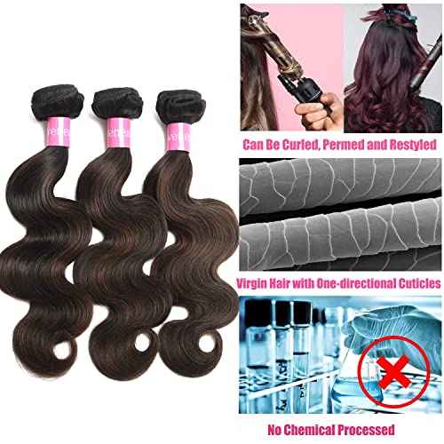 Lovena 10A Ombre Bundles Brazilian Virgin Hair, 1 Bundle, 18 Inch Body Wave, 100% Human Hair Extensions FB30 Color (FB30, 18 Inch)