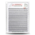 20D Lash Clusters 240 Pcs | 0.07mm C Curl Individual Lashes
