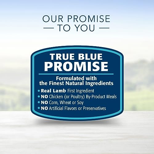 BLUE BUFFALO Life Protection Formula Adult Dry Dog Food, Helps Build and Maintain Strong Muscles, Made with Natural Ingredients, Lamb & Brown Rice Recipe, 24-lb. Bag