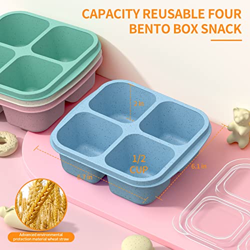 RGNEIN Bento Snack Boxes (4 Pack)- Reusable 4-Compartment Meal Prep Containers for Kids and Adults, Perfect Food Storage School, Compact Stackable (Wheat(Green/Blue/PK/Beige))