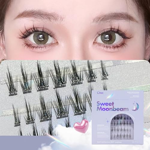 Char Cosmetics Eye Lashes - Sweatproof, Natural Look False Eyelashes - Reusable Fake Eyelashes for Comfortable Fit - Sweet Moonbeam - 42 pc