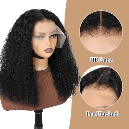 Ladoux 13x6 Kinky Curly Lace Front Wig - 180% Density, 14 Inch