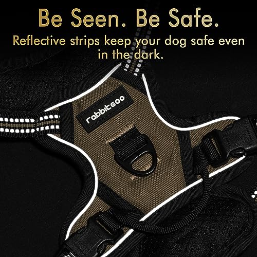 rabbitgoo Dog Harness, No-Pull Pet Harness with 2 Leash Clips, Adjustable Soft Padded Dog Vest, Reflective No-Choke Pet Oxford Vest with Easy Control Handle for Small Dogs, Wild Lime,S