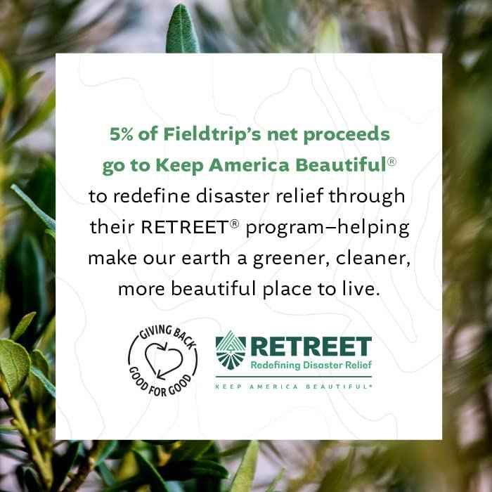 Fieldtrip Starter Set