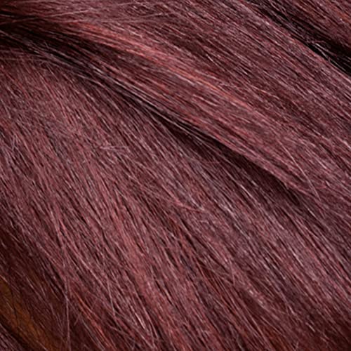 L'Oréal Paris Le Color One Step Toning Hair Gloss Auburn 4oz