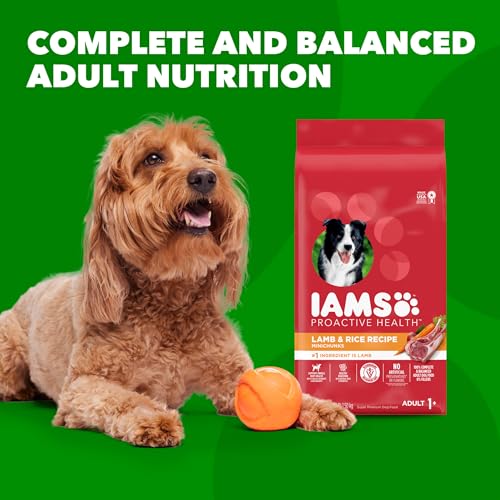 IAMS Minichunks Adult Dry Dog Food Lamb & Rice Recipe Dog Kibble, 15 lb. Bag