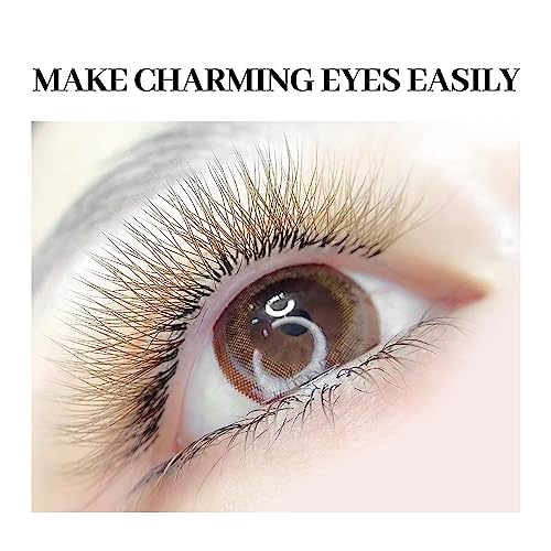 Brown 3D W Lash Extensions 0.07mm C/D Curl Premade Fans