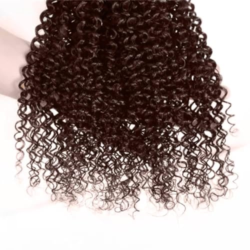 Condescension Brazilian Human Hair Bundles 10 12 14 Inch Jerry Curly Wave 3 Bundles Human Hair 100% Unprocessed Remy Brazilian Virgin Weave Hair Chocolate Brown 4 for Women