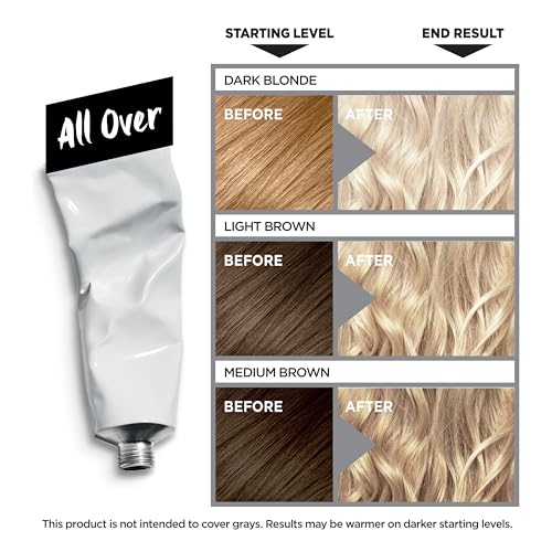 Hair Bleach Kit for All Over Blonde Hair - Includes Purple Conditioner - 1 Count