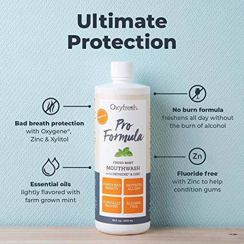 Oxyfresh Pro Formula Fresh Mint Mouthwash with Zinc - 16 Fl Oz, Alcohol & Dye Free