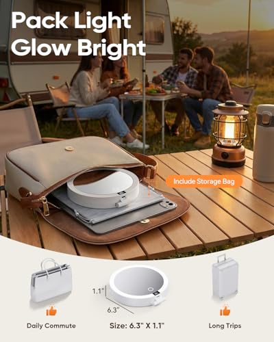 Rechargeable LED Travel Makeup Mirror with 20X/1X Magnification & Light
