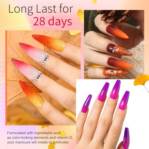 Honey Joy 4-Color Dip Powder Nail Starter Kit with Liquids & Tools