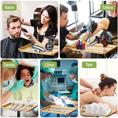 Golden Salon Adjustable Height Aluminum Rolling Tray for Hair & Tattoo Professionals (Golden)