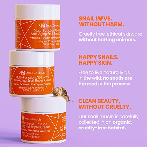 Korean Skin Care Set - Contains Korean Snail Cream + Korean Green Tea Face Mask + Korean Vitamin C Serum - This Potent Korean Skincare Set Provides Healthy, Youthful & Glowing Skin