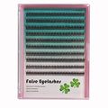 12D Fishtail Cluster Lashes 8-14mm Black Individual Extensions