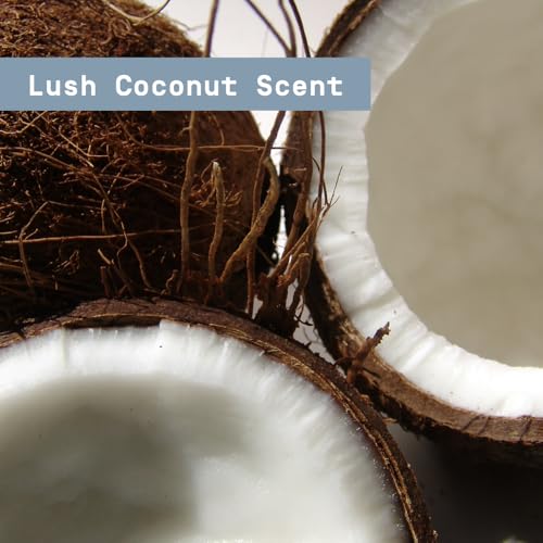 Triple Action Antiperspirant Deodorant - Lush Coconut, 2.6 oz