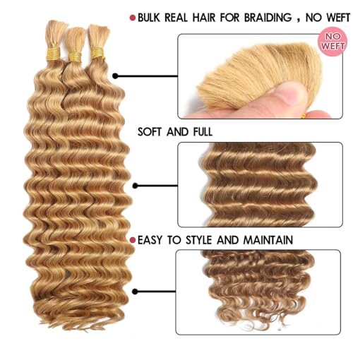 Honey Blonde Human Braiding Hair 24 Inch 2 Bundles