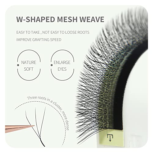 3D W Shape Eyelash Extensions 0.07 C Curl 8-14mm Mix