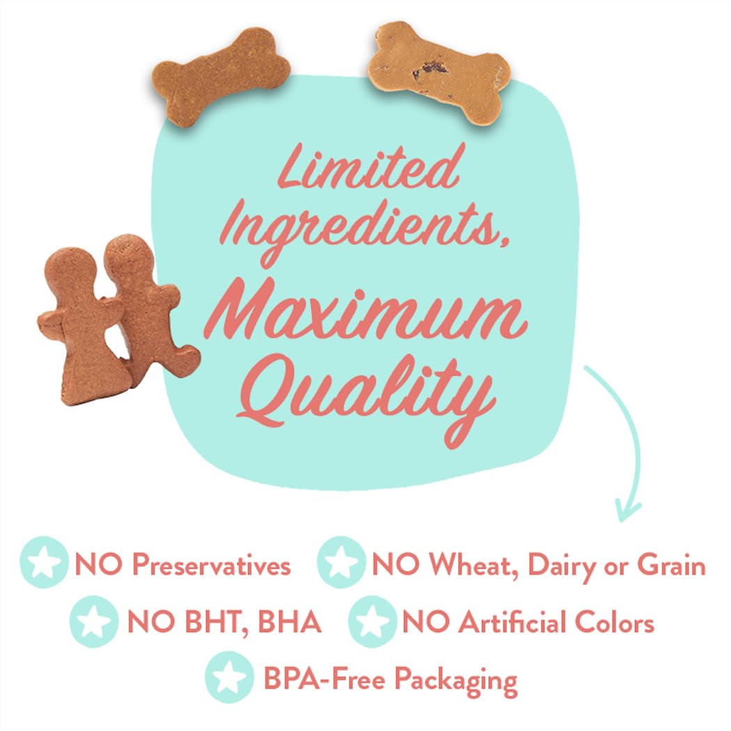 Portland Pet Food Company Pumpkin Healthy Dog Treats - Grain-Free, Human-Grade, Pumpkin Dog Treats - All Natural Dog Training Treats & Biscuits Made in the USA Only 1-Pack (5 oz)