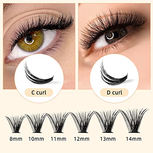 QUEWEL Cluster Lashes 240Pcs 40D 0.07D Mix 8-14mm DIY