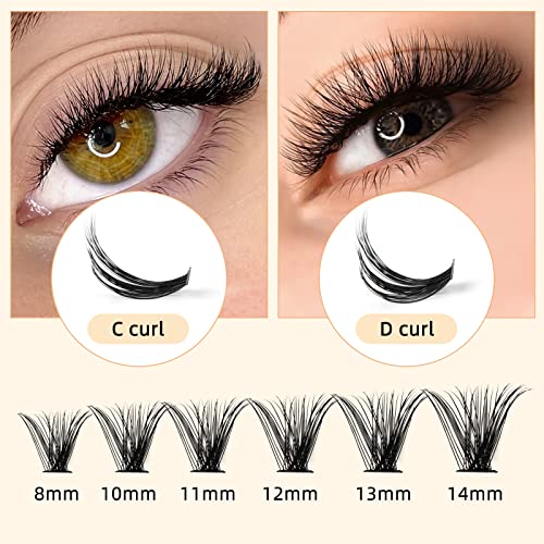 QUEWEL Cluster Lashes 240Pcs Individual Lashes 30D+40D C Curl Mix8-14mm Lash Extensions Clusters Lashes Soft&Natural False Eyelashes Individual DIY Eyelash Extension at Home(30D+40D C MIX8-14)