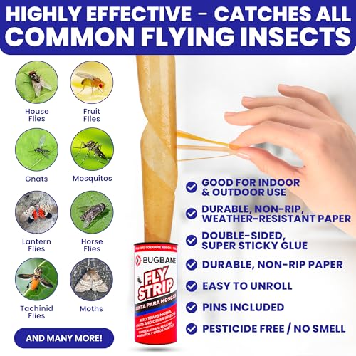 Fly Strips Indoor Sticky 24pk with Pins - Non-Toxic Flypaper