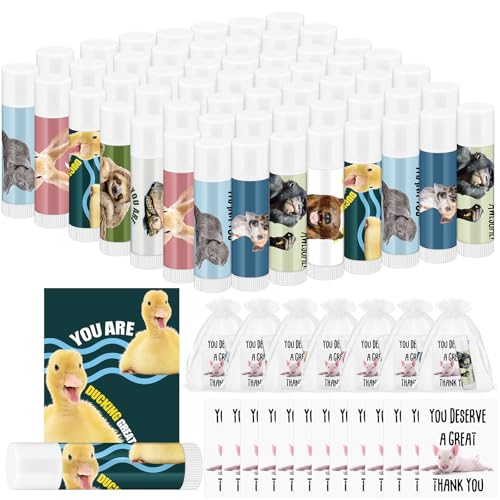 40 Sets Valentines Employee Appreciation Gifts Bulk for Coworkers Thank You Staff Gift Inspirational Animal Pun Lip Balm Note Cards Organza Bag for Office Party Favor Team Volunteer Nurse