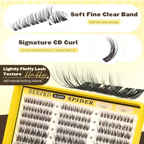 Spider Lash Clusters Kit D Curly 10-16MM Wispy Eyelash Extensions